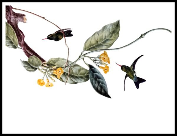 DNA DJP102 Song Bird I